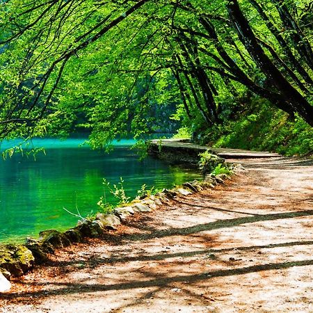 Plitvicka Kuca D - Plitvice Lakes Plitvička Jezera Kültér fotó